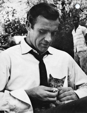 Sir Sean Connery Oscar-díjas skót filmszínész  (Fotó: listal.com)