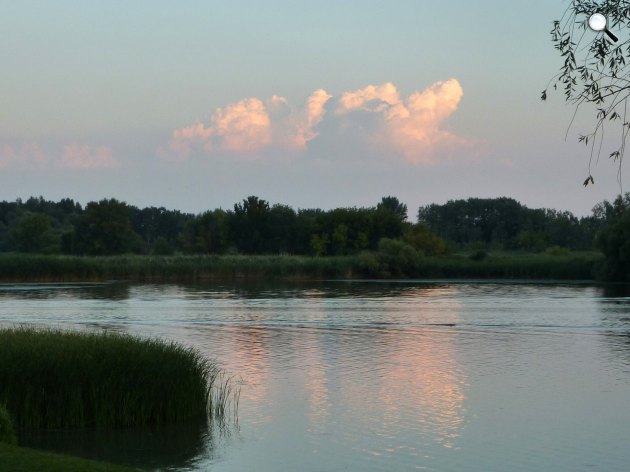 Tisza-tó, nádas (Fotó: M.D. Kinga)