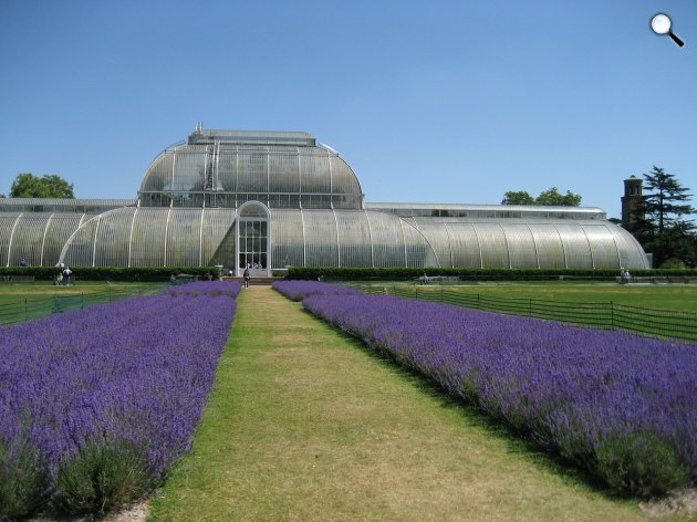 Kew Gardens, London (Fotó: pixabay.com)