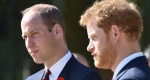 Vilmos és Harry herceg, Nagy Britannia (Fotó: BBC / listal.com)