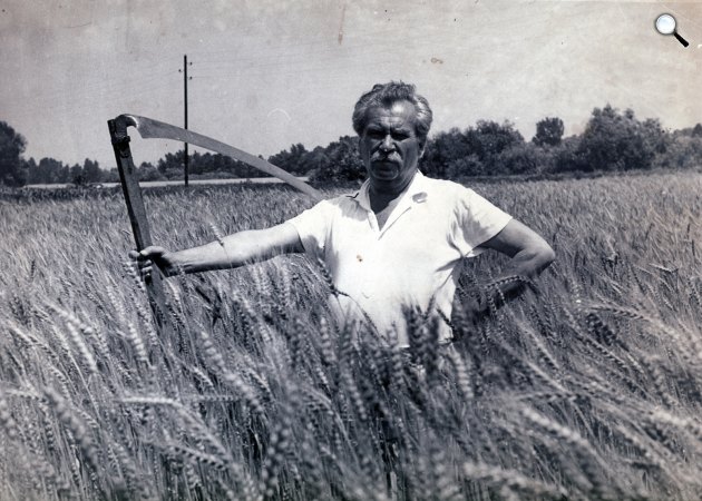 Móricz Zsigmond (1979-1942) író, publicista Leányfalun, 1940 (Fotó: Fortepan) 