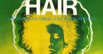 Hair musical poszter, 1968 (Fotó: hairthemusical.com)