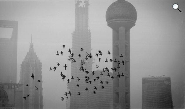 Nicky Almásy: A Shanghai Tower épülése, 2013 (Fotó: BÁV)