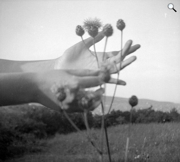 Gyarmati Fanni az abdai tömegsírról egy szamárkórót tépett le, 1946 (Fotó: radnoti.mtak.hu
