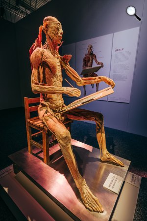 BODY kiállítás (Fotó:  JVS Group)