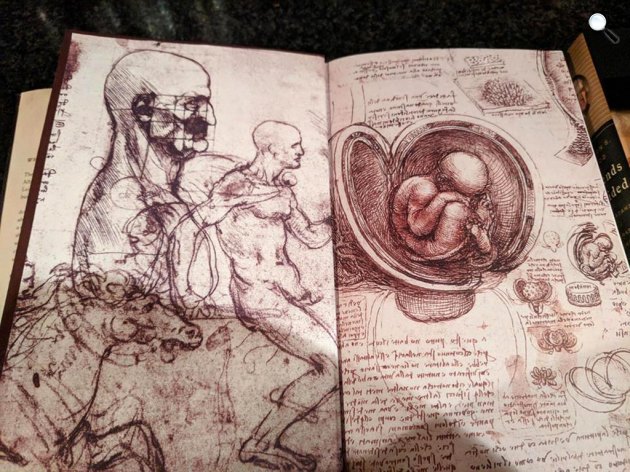 Walter Isaacson: Leonardo da Vinci – A zseni közelről (Fotó: Facebook)
