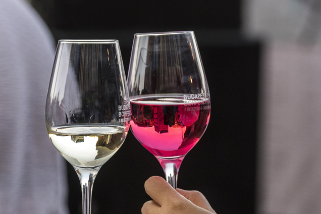 Fehér bor és rozé, Budapest Borfesztivál (Fotó: Budapest Borfesztivál)