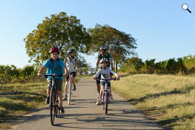 Őszi családi kerekezés, Ausztria (Fotó: (c) Burgenland Tourismus / Peter Burgstaller)
