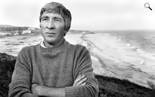 John Updike (1932-2009) író (Fotó: babelio.com)