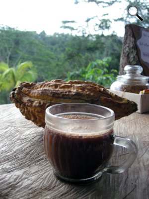 Kakaó, kakaóbab, Bali (Fotó: Pixabay)