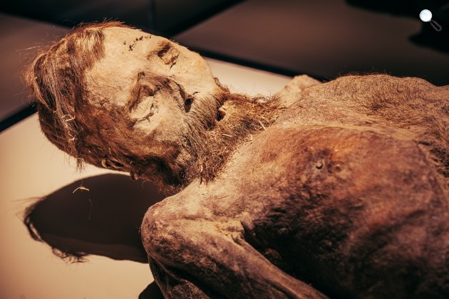 Kb. 300 éves erdélyi múmia, Természettudományi Múzeum (Fotó: JWS)