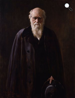 John Collier: Charles Darwin portréja, 1881 (Fotó: Wikimédia)