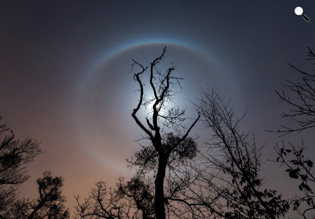 Halojelenség - gyűrű alakú fényjelenség látszik a Hold körül Budapesten, a Kis-Hárs-hegy felől fotózva 2019. január 21-én. (MTI/Mohai Balázs)