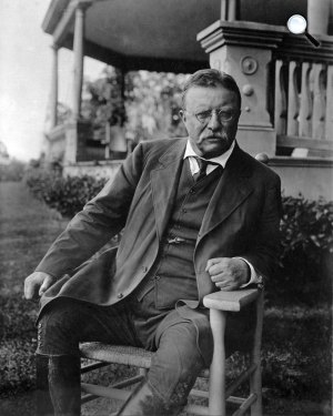 Theodore Roosevelt (1858-1919) Nobel-békedíjas amerikai elnök (Fotó: teddyrooseveltlive.com)