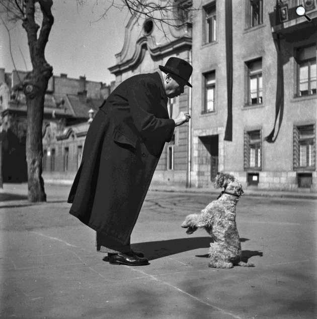Vidám kutya és gazdája játszik az utcán, 1952 (Fotó: Fortepan)
