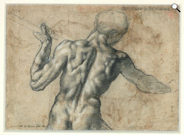 Michelangelo Buonarroti: Férfihátakt, c. 1504 (Fotó: © The Albertina Museum, Vienna)