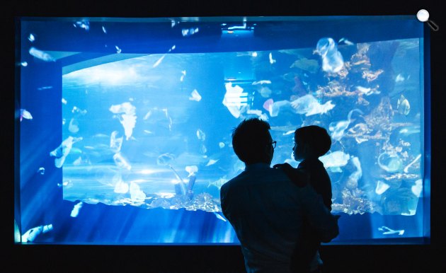Tropicarium, Campona, Budapest (Fotó: Infinety)
