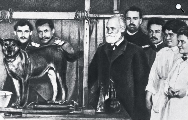Ivan Petrovics Pavlov (1849-1936) Nobel-díjas orosz fiziológus (Fotó: Wikimédia)