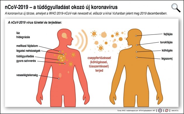 nCoV-2019 - a tüdőgyulladást okozó új koronavírus (Fotó: MTI)