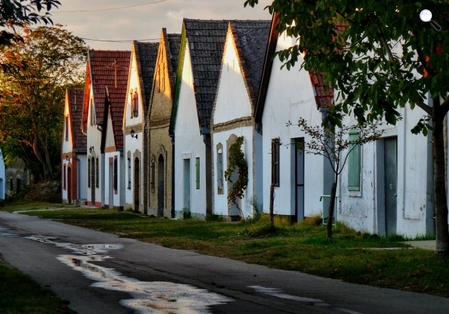 Borospincék a pincefaluban, Hajós (Fotó: Vida Tibor)