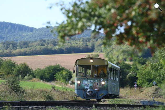 A Kajla kisvasút Márianosztránál, 2020 (Fotó: MTI/Bruzák Noémi)