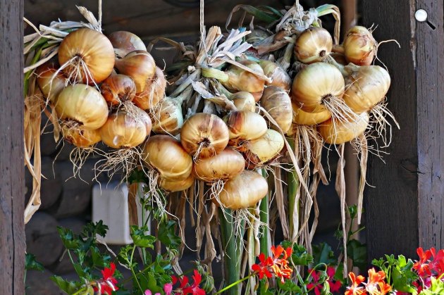 Felfüggesztett hagymakoszorúk a ház előtt (Fotó: Pixabay)