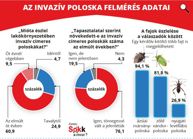 Magyarország poloskatérképe (Fotó: Bábolna Bio Kft/Sokk a rovar)