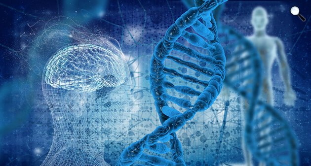 Az evolúció egyik legfontosabb átmenete az volt, amikor a gének kromoszómákká rendeződtek, illusztráció (Fotó: Pixabay)