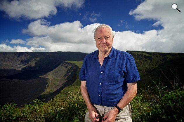 Sir David Attenborough  angol természettudós, dokumentumfilmes  (Fotó: Spektrum)