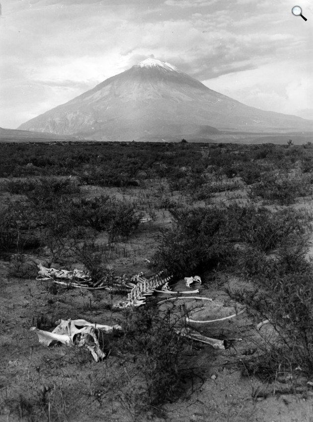 Paul Almásy: A Misti vulkán Peruban, 1961 (Fotó: Paul Almásy/Magyar Fotográfiai Múzeum)