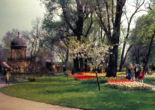 A Zenélő kút, Margit-szigeten, 1977 (Fotó: Fortepan)