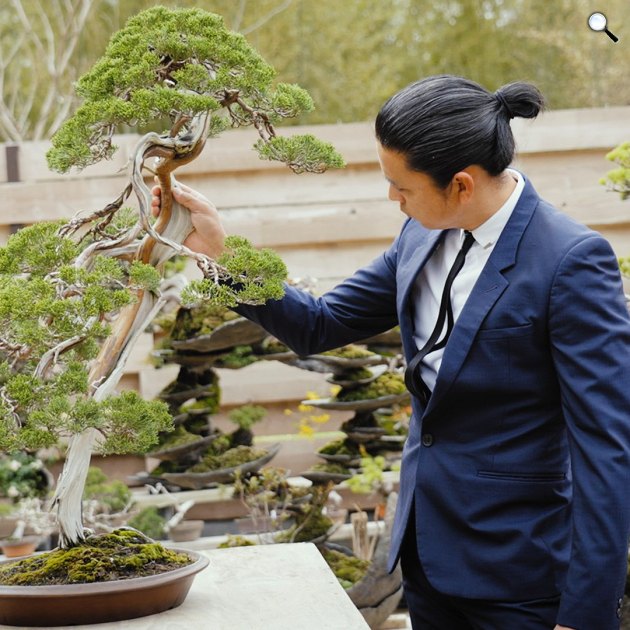 Bonsai, nem csak az idősek művészete (Fotó: Asahi)