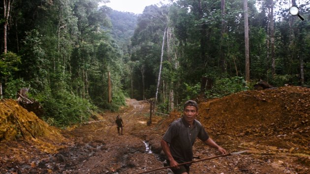 Uprooted - The Olympic Tribe, dokumentumfilm, 2017 (Fotó: ELF Pictures/Jamie Wolfeld)