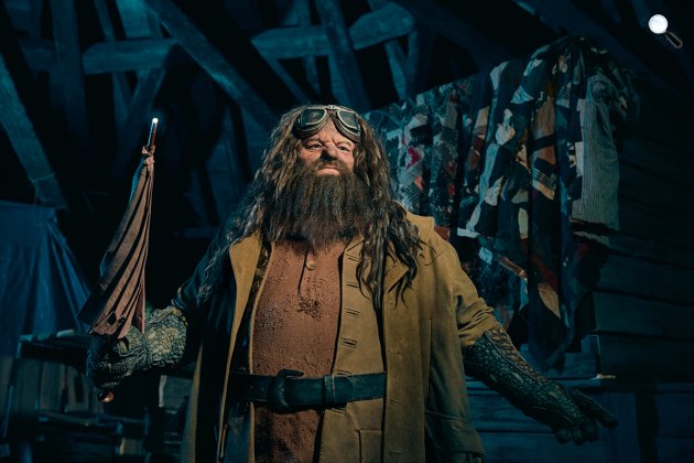 Harry Potter - Hagrid a varázsesernyőjével (Fotó: listal.com)