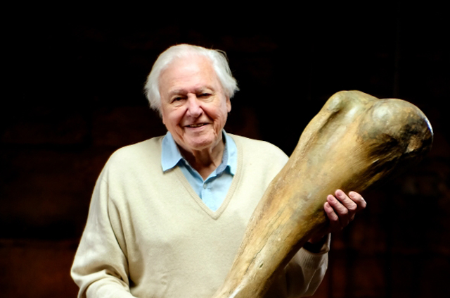 Sir David Attenborough természettudós, dokumentumfilmes és a mamut temető (Fotó: Viasat Nature)