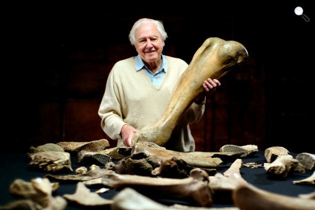 Sir David Attenborough természettudós, dokumentumfilmes és a mamut temető (Fotó: Viatat Nature)