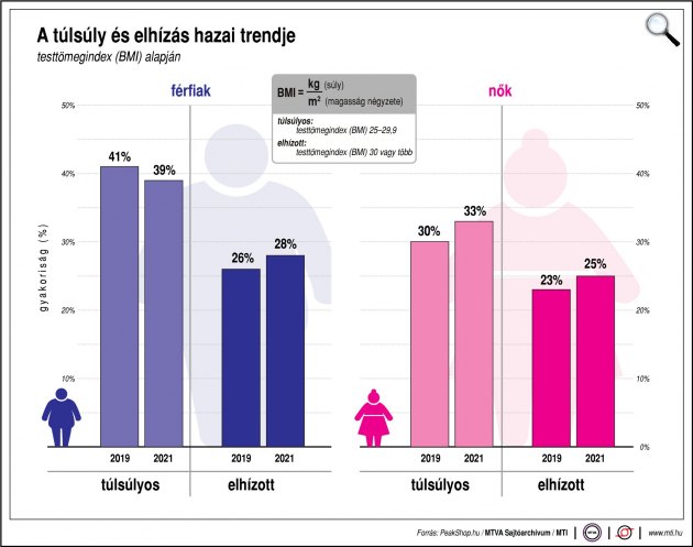 A túlsúly és elhízás trendje Magyarországon - Túlsúlyos: testtömegindexe (BMI) 25-29,9; elhízott: testtömegindexe (BMI) 30 vagy több (Fotó: MTI/MTVA)