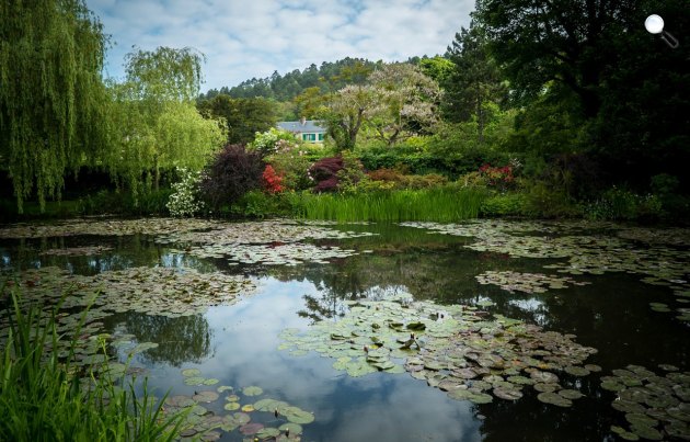 Monet giverny-i kertje - Exhibiton on Screen (Fotó: David Bickerstaff/Pannonia Entertainment)