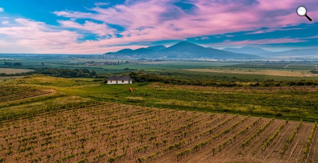 Tokaj-hegyaljai történelmi borvidék (Fotó: Pixabay)