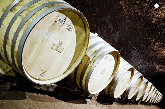 Tokaj-hegyaljai történelmi borvidék (Fotó: Pixabay)