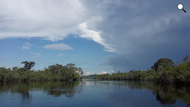 Amazonas folyó Venezuela területén (Fotó: Pixabay)