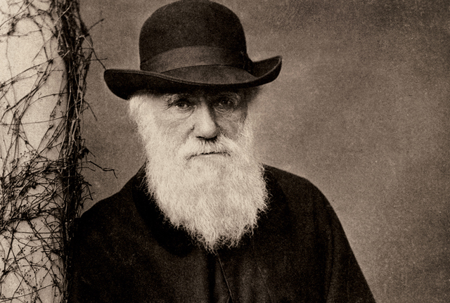 Charles Darwin (1809-1882) angol természettudós, az evolúcióelmélet egyik kidolgozója és névadója (fotó: MEK/OSZK)