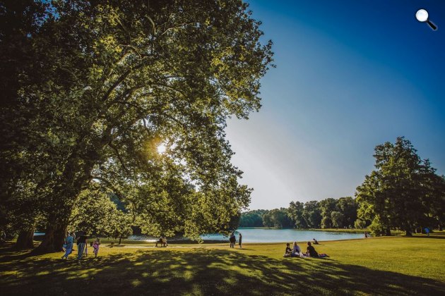 Brunszvik-kastély parkja Martonvásáron (Fotó: Csibi Szilvia)
