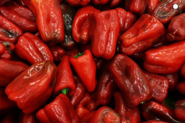Piros kápia, bell pepper paprika (Fotó: Pixabay)