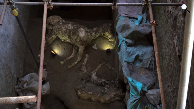 Pompeji - A Villa Giuliana eltemetett titka (Fotó: Viasat History)