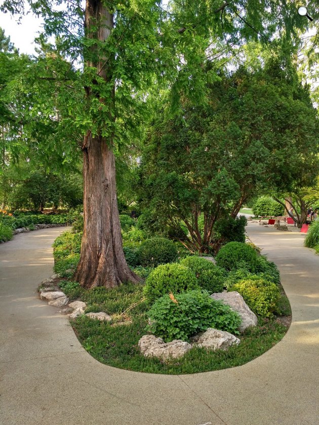 Margitsziget parkja, Budapest (Fotó: Pixabay)