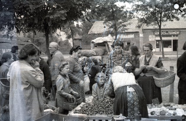 Maszek motorkerékpár szerviz, 1976 (Fotó: Fortepan/Urbán Tamás)