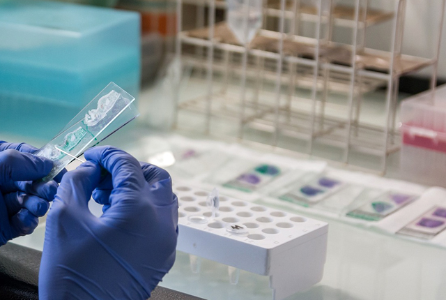 Laboratóriumi munka, gyógyszergyártás (Fotó: Pixabay)