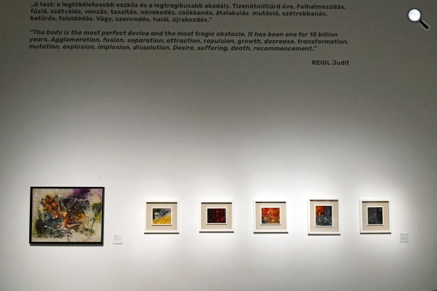 Reigl Judit Kozmikus absztrakció című festménysorozata a Műcsarnokban, 2023 (Fotó: MTI/Lakatos Péter)