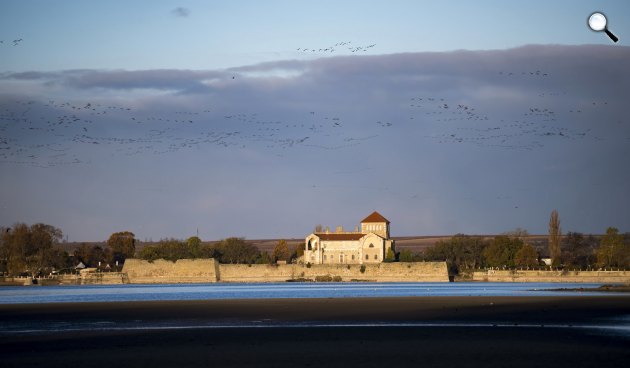 Vadludak szállnak az Öreg-tó felett Tatán. Háttérben a tatai vár, 2023 (MTI/Bodnár Boglárka)